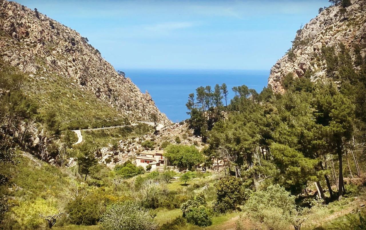 Ses Fontanelles Penzion Andraitx